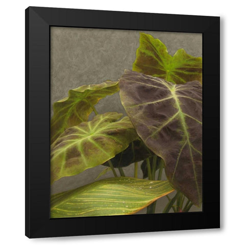 Non-Embellished Dramatic Leaves I Black Modern Wood Framed Art Print with Double Matting by Zarris, Charliklia