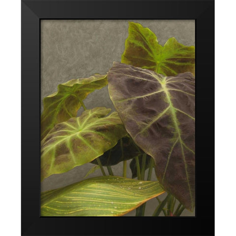 Non-Embellished Dramatic Leaves I Black Modern Wood Framed Art Print by Zarris, Charliklia