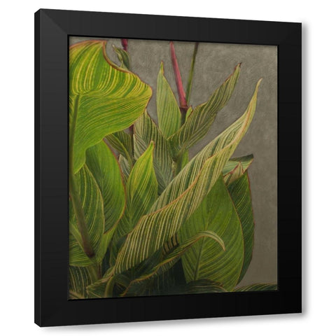 Non-Embellished Dramatic Leaves II Black Modern Wood Framed Art Print by Zarris, Charliklia