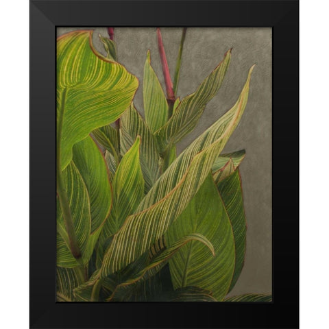Non-Embellished Dramatic Leaves II Black Modern Wood Framed Art Print by Zarris, Charliklia
