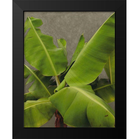Non-Embellished Dramatic Leaves III Black Modern Wood Framed Art Print by Zarris, Charliklia