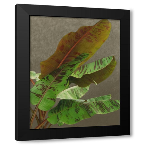 Non-Embellished Dramatic Leaves IV Black Modern Wood Framed Art Print by Zarris, Charliklia