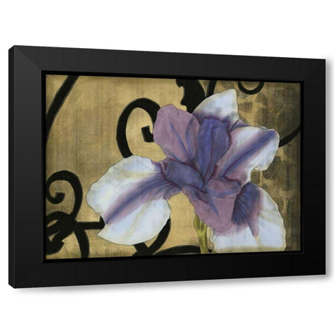 Iris and Scrolls II Black Modern Wood Framed Art Print with Double Matting by Goldberger, Jennifer