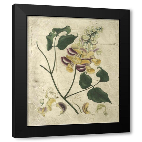 Aubergine Florals I Black Modern Wood Framed Art Print with Double Matting by Vision Studio