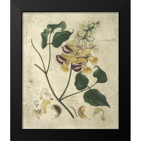 Aubergine Florals I Black Modern Wood Framed Art Print by Vision Studio