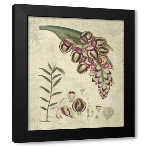 Aubergine Florals II Black Modern Wood Framed Art Print with Double Matting by Vision Studio