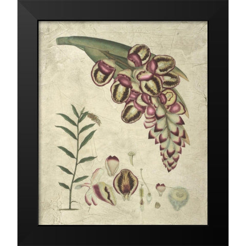 Aubergine Florals II Black Modern Wood Framed Art Print by Vision Studio