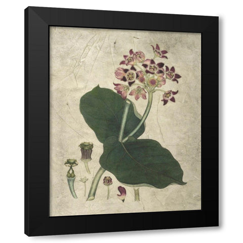 Aubergine Florals III Black Modern Wood Framed Art Print with Double Matting by Vision Studio