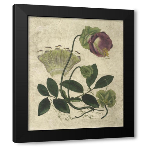 Aubergine Florals IV Black Modern Wood Framed Art Print with Double Matting by Vision Studio