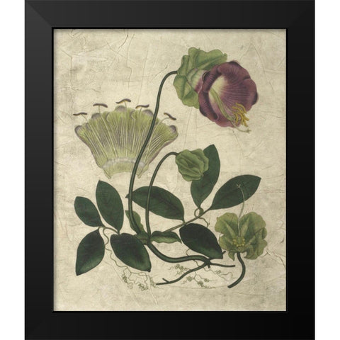 Aubergine Florals IV Black Modern Wood Framed Art Print by Vision Studio