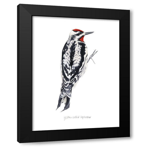 Watercolor Woodpecker I Black Modern Wood Framed Art Print by Popp, Grace
