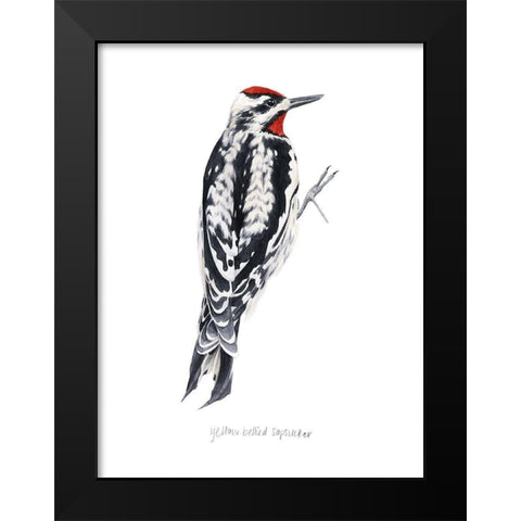 Watercolor Woodpecker I Black Modern Wood Framed Art Print by Popp, Grace