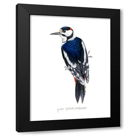 Watercolor Woodpecker II Black Modern Wood Framed Art Print by Popp, Grace