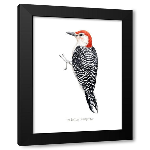 Watercolor Woodpecker III Black Modern Wood Framed Art Print by Popp, Grace