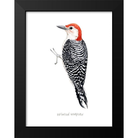 Watercolor Woodpecker III Black Modern Wood Framed Art Print by Popp, Grace