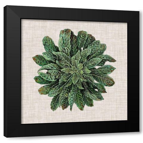 Spherical Leaves I Black Modern Wood Framed Art Print with Double Matting by Vision Studio