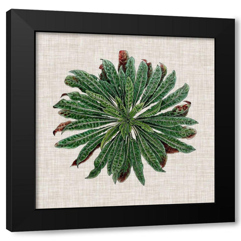 Spherical Leaves II Black Modern Wood Framed Art Print with Double Matting by Vision Studio