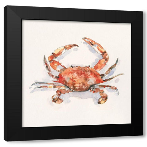 Crusty Crab I Black Modern Wood Framed Art Print with Double Matting by Caroline, Emma