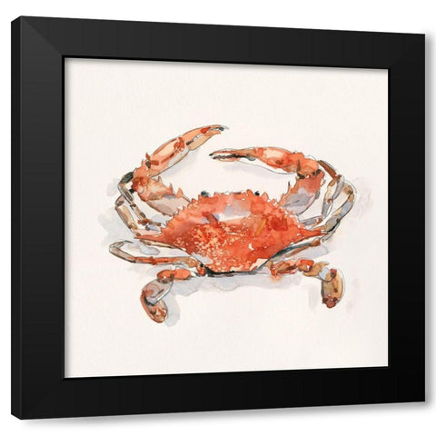 Crusty Crab II Black Modern Wood Framed Art Print with Double Matting by Caroline, Emma