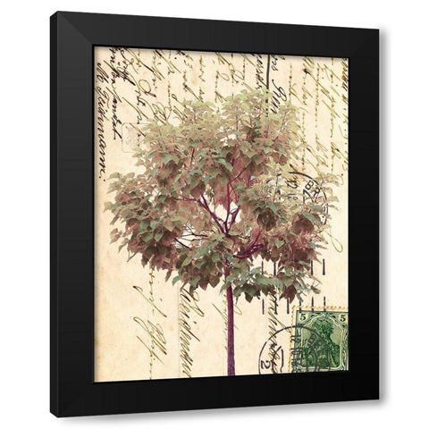 In Good Spirits I Black Modern Wood Framed Art Print with Double Matting by Saunders, Alonzo