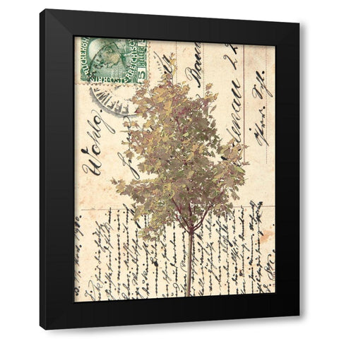 In Good Spirits II Black Modern Wood Framed Art Print with Double Matting by Saunders, Alonzo