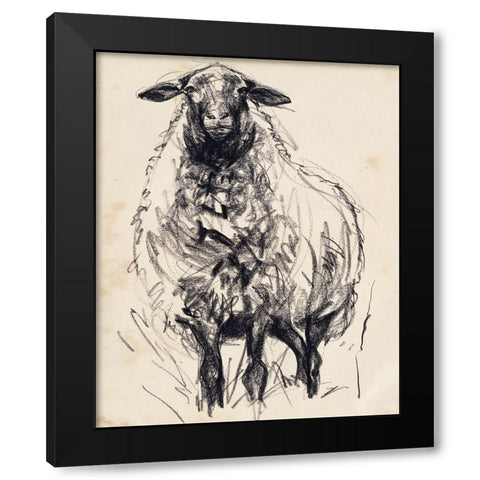 Charcoal Sheep I Black Modern Wood Framed Art Print with Double Matting by Parker, Jennifer Paxton