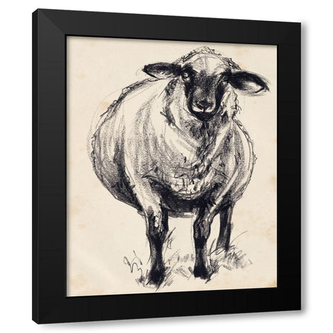 Charcoal Sheep II Black Modern Wood Framed Art Print with Double Matting by Parker, Jennifer Paxton