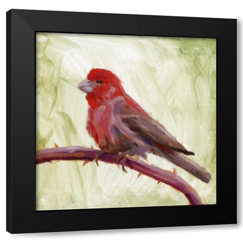 Backyard Birds II Black Modern Wood Framed Art Print with Double Matting by Green, Jacob