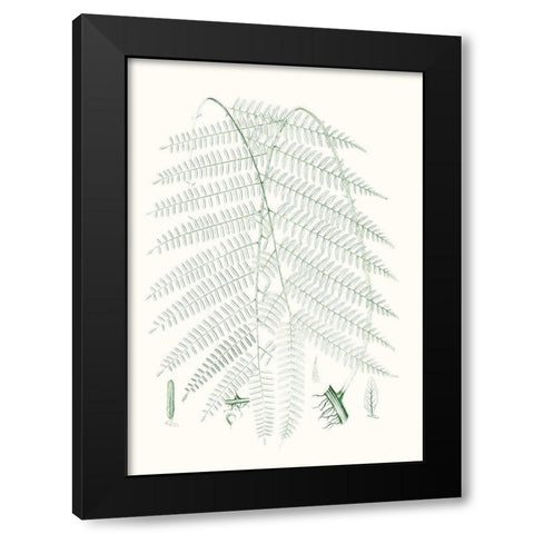 Verdure Ferns I Black Modern Wood Framed Art Print with Double Matting by Vision Studio