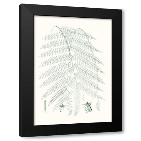 Verdure Ferns I Black Modern Wood Framed Art Print by Vision Studio