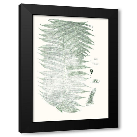 Verdure Ferns VI Black Modern Wood Framed Art Print with Double Matting by Vision Studio