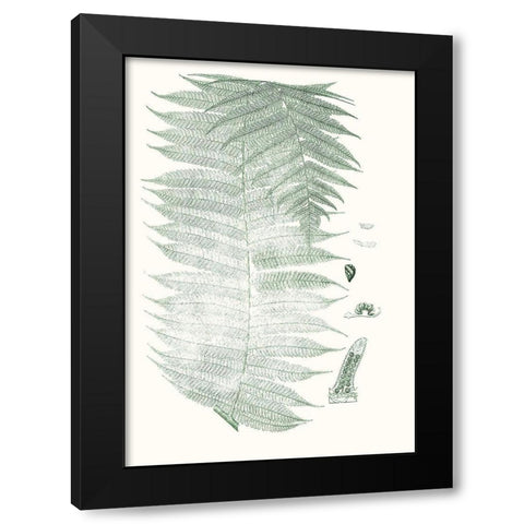 Verdure Ferns VI Black Modern Wood Framed Art Print by Vision Studio