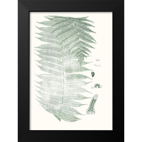 Verdure Ferns VI Black Modern Wood Framed Art Print by Vision Studio