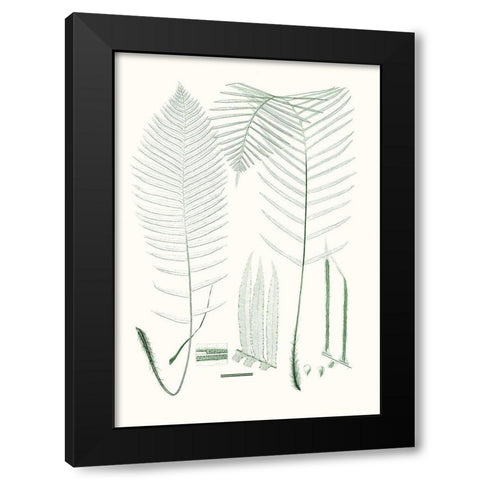 Verdure Ferns VII Black Modern Wood Framed Art Print with Double Matting by Vision Studio