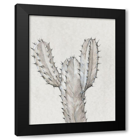 Cactus Study II Black Modern Wood Framed Art Print with Double Matting by OToole, Tim