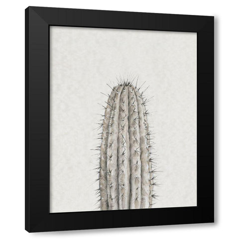 Cactus Study III Black Modern Wood Framed Art Print by OToole, Tim