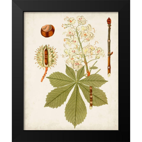 Antique Leaves VIII Black Modern Wood Framed Art Print by Unknown