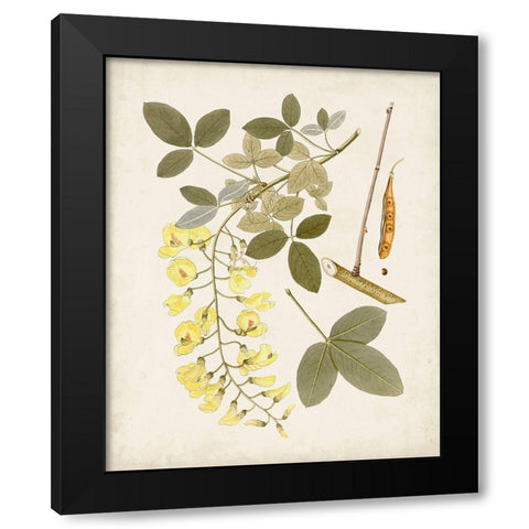 Vintage Flowering Trees VII Black Modern Wood Framed Art Print by Unknown