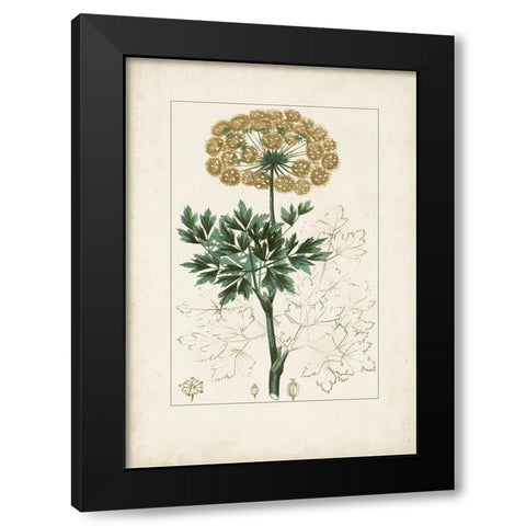 Antique Turpin Botanical VI Black Modern Wood Framed Art Print with Double Matting by Turpin