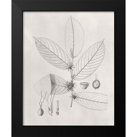 Vintage Leaves II Black Modern Wood Framed Art Print by Vision Studio