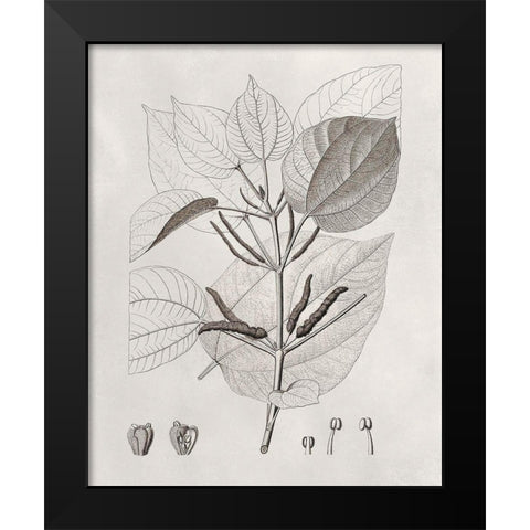 Vintage Leaves III Black Modern Wood Framed Art Print by Vision Studio