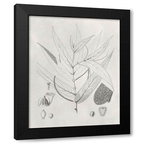 Vintage Leaves IV Black Modern Wood Framed Art Print with Double Matting by Vision Studio