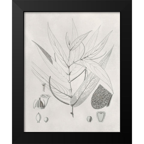 Vintage Leaves IV Black Modern Wood Framed Art Print by Vision Studio