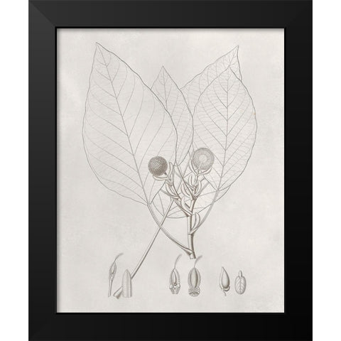 Vintage Leaves V Black Modern Wood Framed Art Print by Vision Studio