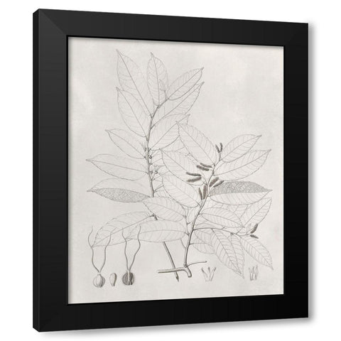 Vintage Leaves VI Black Modern Wood Framed Art Print with Double Matting by Vision Studio