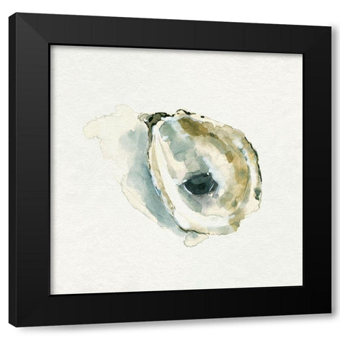 Old Salt Shell I Black Modern Wood Framed Art Print with Double Matting by Caroline, Emma