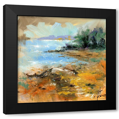 Nevern Lights II Black Modern Wood Framed Art Print with Double Matting by Doyle, Anne Farrall