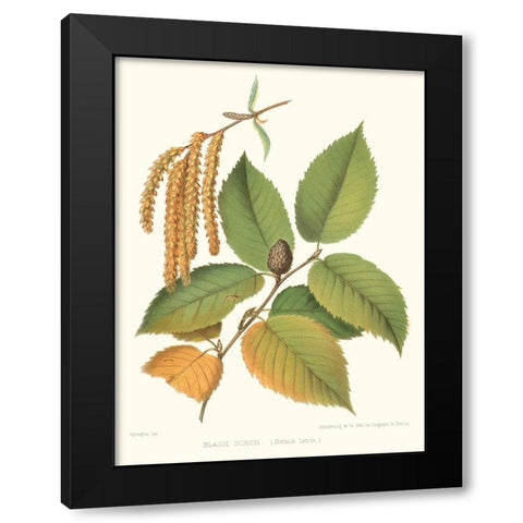 Non-embellished Black Birch Black Modern Wood Framed Art Print by Sprague
