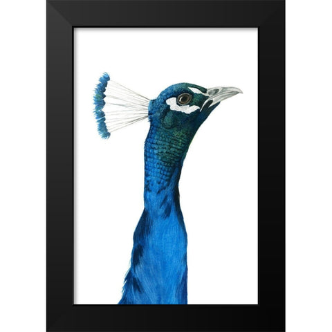 Peacock Portrait I Black Modern Wood Framed Art Print by Popp, Grace