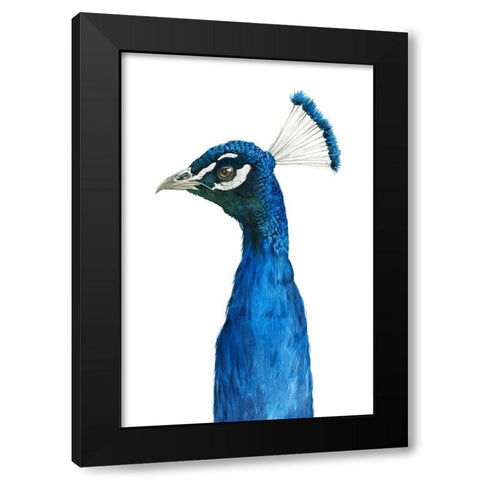 Peacock Portrait II Black Modern Wood Framed Art Print with Double Matting by Popp, Grace